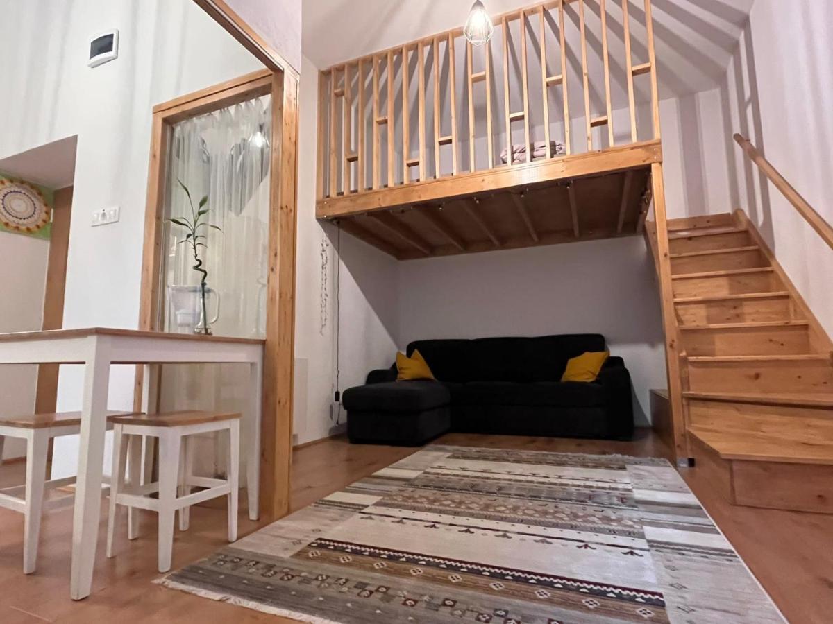 Downtown Apartment Τιμισοάρα Εξωτερικό φωτογραφία